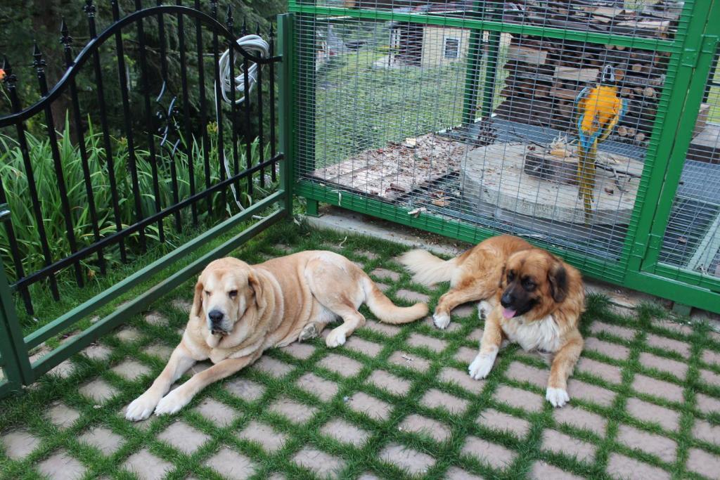 Apartmány a Chalupa Tara Albrechtice v Jizerskych horach Bagian luar foto